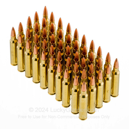 Large image of Premium 223 Rem Ammo For Sale - 77 Grain Sierra MatchKing HP Ammunition in Stock by Black Hills Remanufactured - 50 Rounds