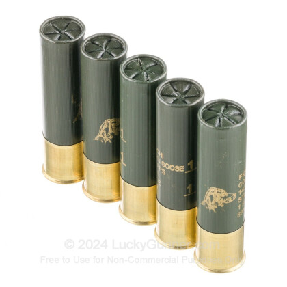 Large image of Cheap 12 Gauge Ammo For Sale - 3-1/2" 1-5/8 oz. #1 Steel Shot Ammunition in Stock by Fiocchi Golden Goose - 25 Rounds