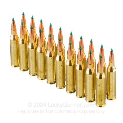 Large image of Premium 243 Ammo For Sale - 90 Grain TGK Ammunition in Stock by HSM Tipping Point - 20 Rounds