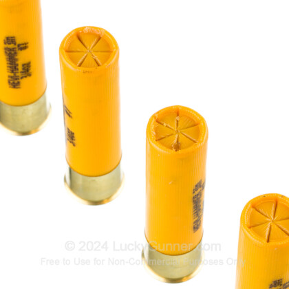 Image 5 of Hevi-Shot 20 Gauge Ammo