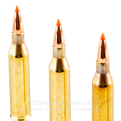 Large image of Premium 243 Win Ammo For Sale - 87 Grain V-Max Ammunition in Stock by Australian Outback - 20 Rounds