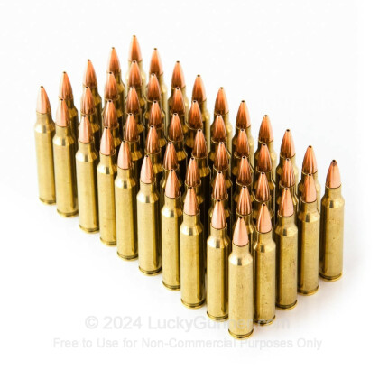 Large image of Cheap 223 Rem Ammo For Sale - 52 Grain HP Remanufactured Ammunition in Stock by Black Hills - 50 Rounds