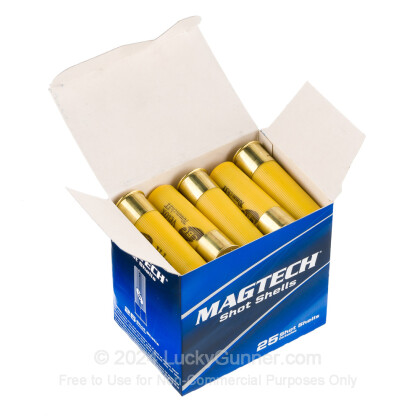 Bulk 20 Gauge Ammo For Sale - 2-3/4” 13/16oz. F Shot Ammunition in Stock by  Magtech - 250 Rounds