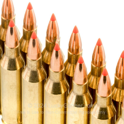 Image 5 of Hornady .243 Winchester Ammo