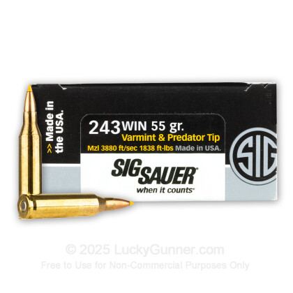 Large image of Premium 243 Ammo For Sale - 55 Grain Polymer Tip Ammunition in Stock by SIG Sauer Varmint & Predator - 20 Rounds