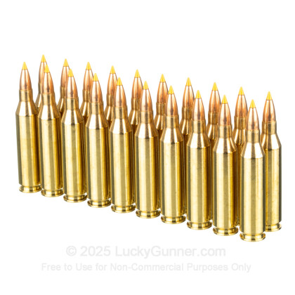 Large image of Premium 243 Ammo For Sale - 55 Grain Polymer Tip Ammunition in Stock by SIG Sauer Varmint & Predator - 20 Rounds