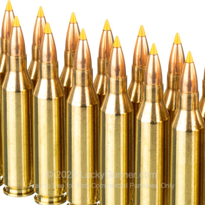 Large image of Premium 243 Ammo For Sale - 55 Grain Polymer Tip Ammunition in Stock by SIG Sauer Varmint & Predator - 20 Rounds
