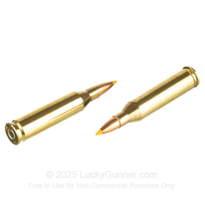 Large image of Premium 243 Ammo For Sale - 55 Grain Polymer Tip Ammunition in Stock by SIG Sauer Varmint & Predator - 20 Rounds