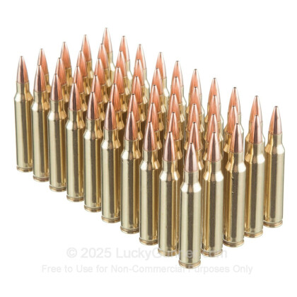 Large image of Bulk 223 Rem Ammo For Sale - 75 Grain Match HP Ammunition in Stock by Black Hills Remanufactured - 1000 Rounds