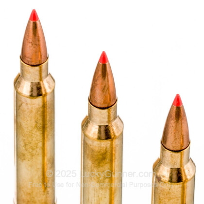 Large image of 300 Winchester Magnum Ammo For Sale - 180 gr SST - Fiocchi Ammo Online