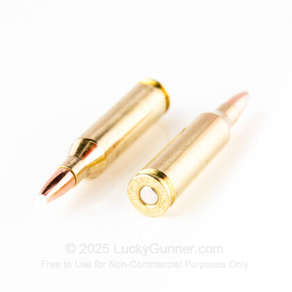 Large image of Nosler Trophy Grade 243 Winchester 90gr Accubond Ammo For Sale At Lucky Gunner - 20 Rounds