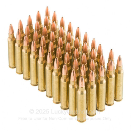 Large image of Premium 223 Remington Ammo For Sale – 36 grain Varmint Grenade Ammunition in Stock by Black Hills - 50 Rounds