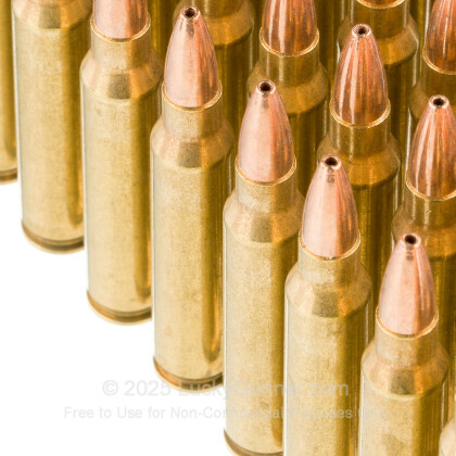 Large image of Premium 223 Remington Ammo For Sale – 36 grain Varmint Grenade Ammunition in Stock by Black Hills - 50 Rounds