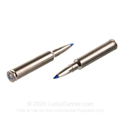 Large image of Federal 7mm Backcountry Ammo For Sale - 155 Grain Terminal Ascent - 20 Rounds