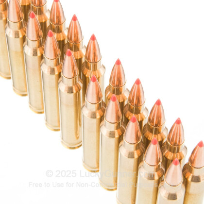 Large image of Premium 300 Winchester Magnum Ammo For Sale - 165 Grain Hornady GMX Ammunition in Stock by Black Hills Gold - 20 Rounds