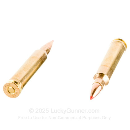 Large image of Premium 300 Winchester Magnum Ammo For Sale - 165 Grain Hornady GMX Ammunition in Stock by Black Hills Gold - 20 Rounds