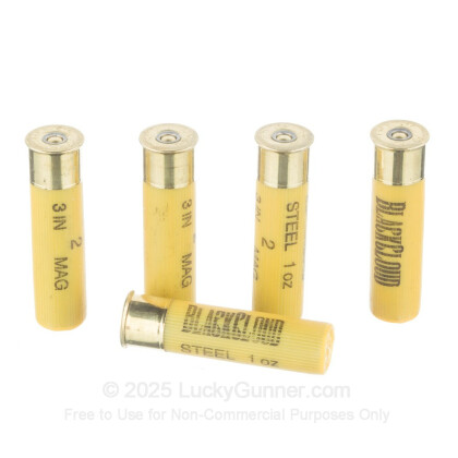 Large image of Cheap 20 Gauge Ammo For Sale - 3" 1oz. #2 Steel Shot Ammunition in Stock by Federal BlackCloud - 25 Rounds
