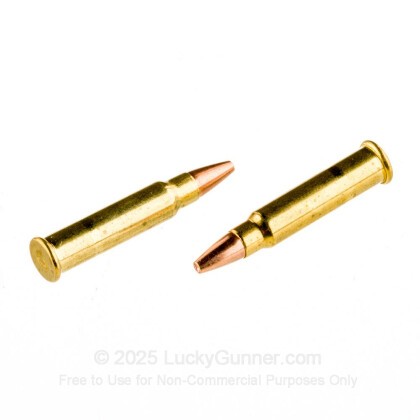 Image 6 of CCI .17 HMR Ammo