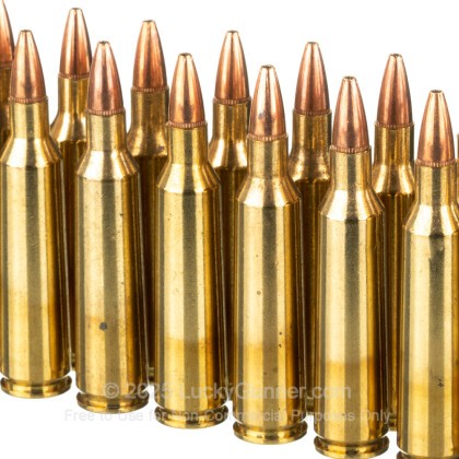 Image 5 of Winchester .22-250 Remington Ammo