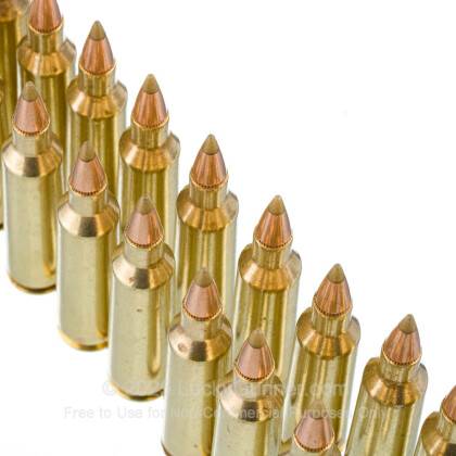 Image 5 of Remington .22-250 Remington Ammo