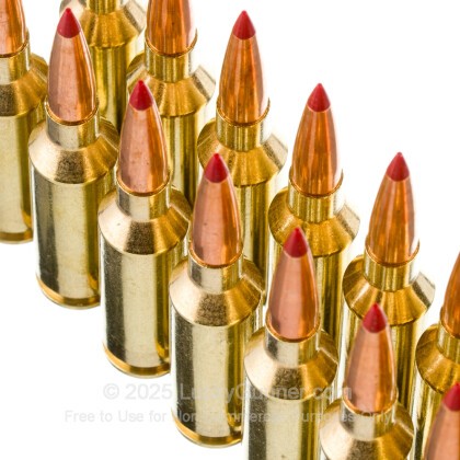 Large image of Hornady Precision Hunter 22 ARC Ammo For Sale - 80gr ELD-X - 20rds