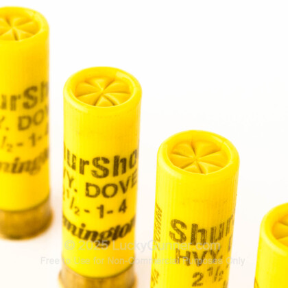 Image 5 of Remington 20 Gauge Ammo