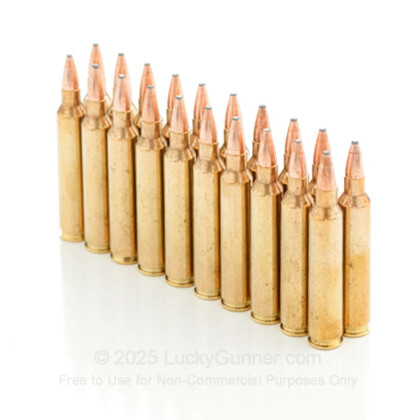 Image 11 of Hornady .204 Ruger Ammo