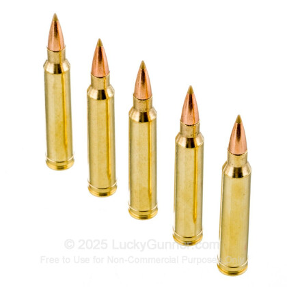 Large image of Premium 300 Winchester Magnum Ammo For Sale - 180 Grain Accutip Boat Tailed Ammunition in Stock by Remington Premier - 20 Rounds
