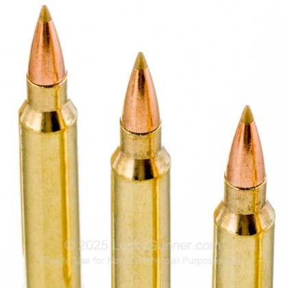 Large image of Premium 300 Winchester Magnum Ammo For Sale - 180 Grain Accutip Boat Tailed Ammunition in Stock by Remington Premier - 20 Rounds