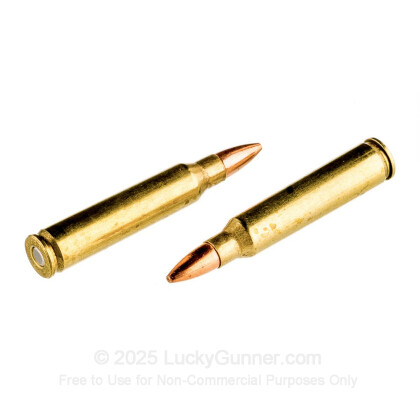 Large image of Premium 223 Remington Ammo For Sale - 55 Grain TSX Ammunition in Stock by Black Hills Ammunition - 500 Rounds