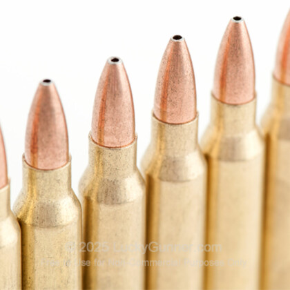 Image 2 of Golden Bear .223 Remington Ammo