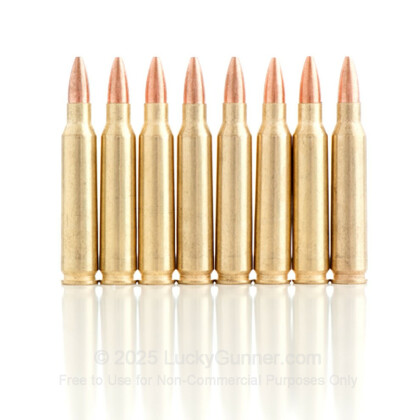 Image 6 of Golden Bear .223 Remington Ammo