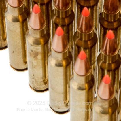 Large image of Bulk 223 Remington Ammo For Sale - 60 Grain Hornady V-Max Ammunition in Stock by Black Hills Remanufactured– 1000 Rounds