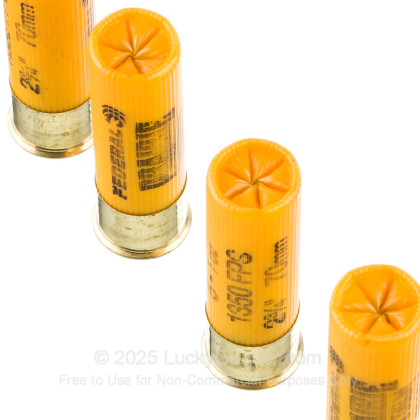 Image 5 of Federal 20 Gauge Ammo