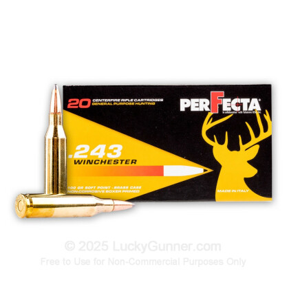 Large image of Bulk 243 Ammo For Sale - 100 Grain SP Ammunition in Stock by Fiocchi Perfecta - 400 Rounds