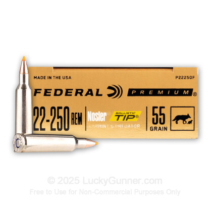 Large image of Premium 22-250 Ammo For Sale - 55 gr Nosler Ballistic Tip - Federal Premium Ammo Online - 20 Rounds