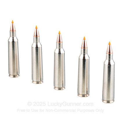 Large image of Premium 22-250 Ammo For Sale - 55 gr Nosler Ballistic Tip - Federal Premium Ammo Online - 20 Rounds