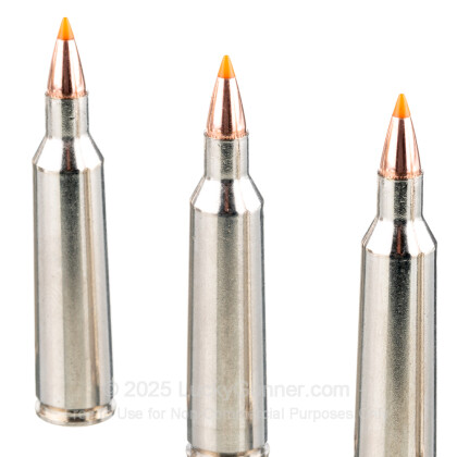 Large image of Premium 22-250 Ammo For Sale - 55 gr Nosler Ballistic Tip - Federal Premium Ammo Online - 20 Rounds