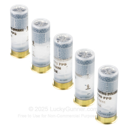 Large image of Bulk 12 Gauge Ammo For Sale - 2-3/4” 1oz. #9 Shot Ammunition in Stock by Fiocchi - 250 Rounds
