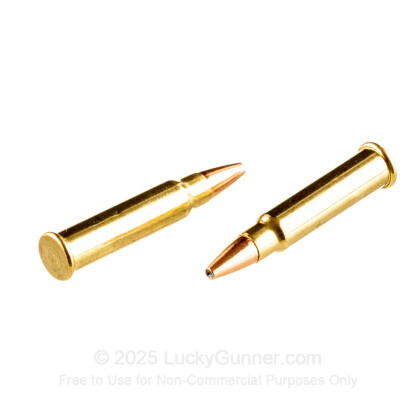 Image 6 of CCI .17 HMR Ammo
