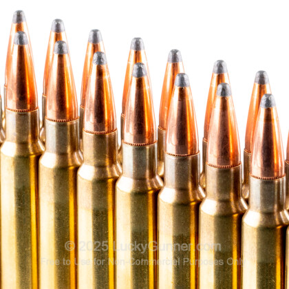Image 5 of Hornady 7.5x55 Swiss Ammo