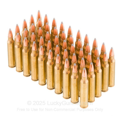 Large image of Cheap 223 Rem Ammo For Sale - 55 Grain SP Ammunition in Stock by Black Hills Ammunition - 50 Rounds