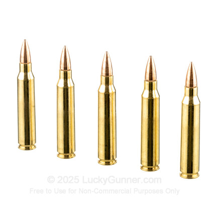Image 4 of Federal .223 Remington Ammo