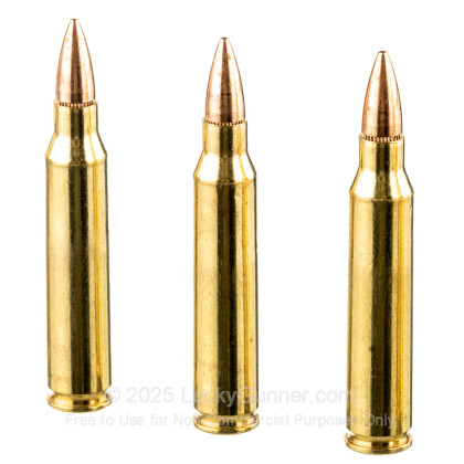 Image 5 of Federal .223 Remington Ammo