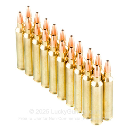 Image 4 of Nosler Ammunition .204 Ruger Ammo