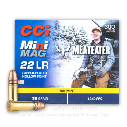 Image 1 of CCI .22 Long Rifle (LR) Ammo