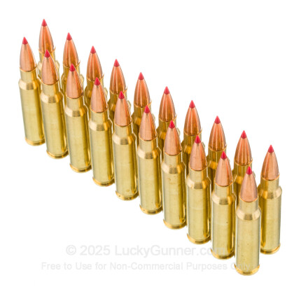 Large image of Premium 308 Ammo For Sale - 150 Grain CX Ammunition in Stock by Black Hills Gold - 100 Rounds
