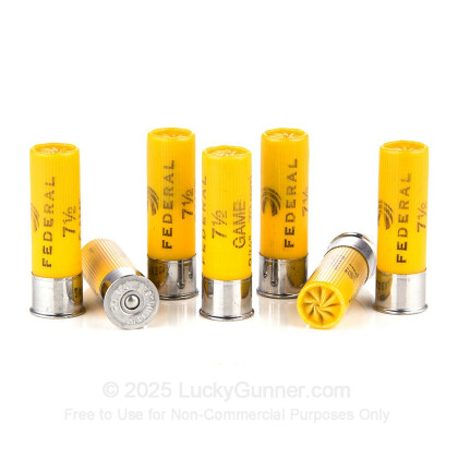 Image 6 of Federal 20 Gauge Ammo