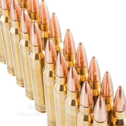Large image of Premium 300 Winchester Magnum Ammo For Sale - 180 Grain TSX HP Ammunition in Stock by Black Hills Gold - 20 Rounds