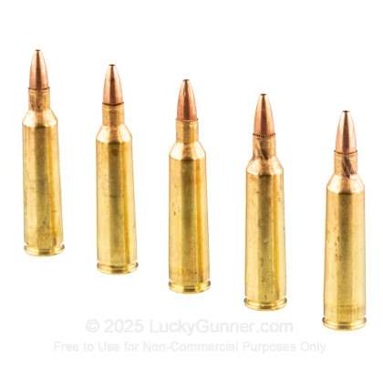 Image 4 of Remington .22-250 Remington Ammo